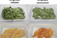 Alargamiento-de-la-conservacion-de-alimentos-con-tecnologia-de-refrigeracion-HYOKAN