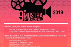 MOSTRA-CINEMA-2019-ESTERRI
